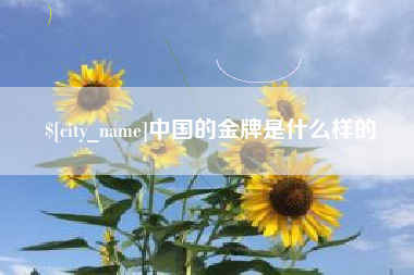 海北中国的金牌是什么样的