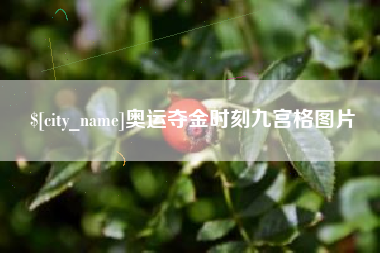 海北奥运夺金时刻九宫格图片