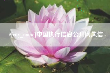 海北中国执行信息公开网失信