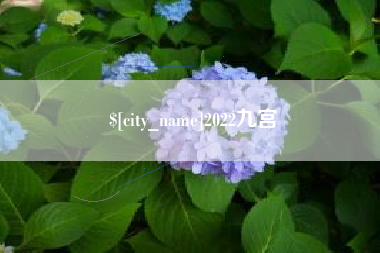 海北2022九宫