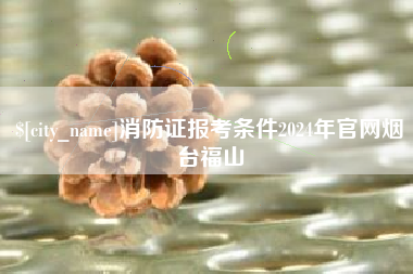 海北消防证报考条件2024年官网烟台福山