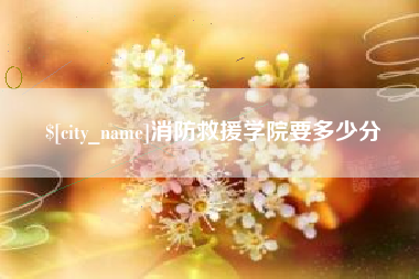 海北消防救援学院要多少分