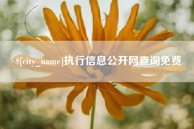海北执行信息公开网查询免费