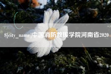 海北中国消防救援学院河南省2020